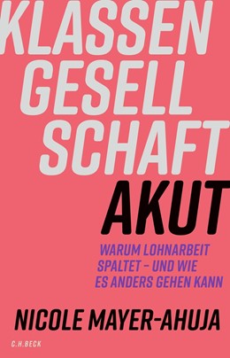Cover: Mayer-Ahuja, Klassengesellschaft akut