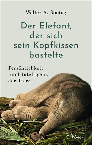Cover: Walter A. Sontag, Der Elefant, der sich sein Kopfkissen bastelte