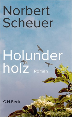 Cover: Norbert Scheuer, Holunderholz