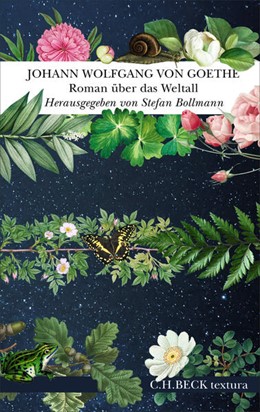 Cover: Goethe, Johann Wolfgang von, Roman über das Weltall