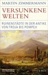 Cover: Zimmermann, Versunkene Welten