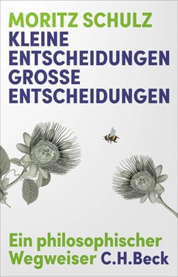 Cover: Schulz, Moritz, Kleine Entscheidungen, große Entscheidungen