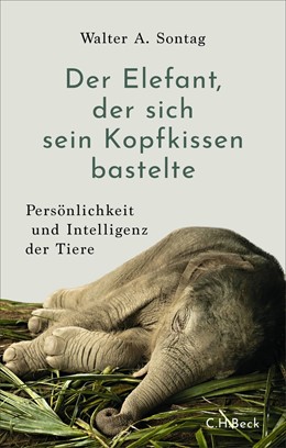 Cover: Sontag, Der Elefant, der sich sein Kopfkissen bastelte