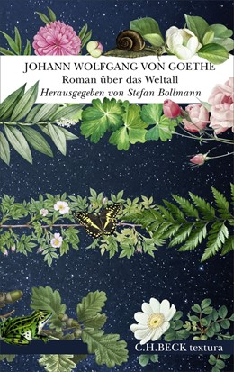 Cover: Goethe / Bollmann, Roman über das Weltall